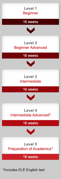 esl program